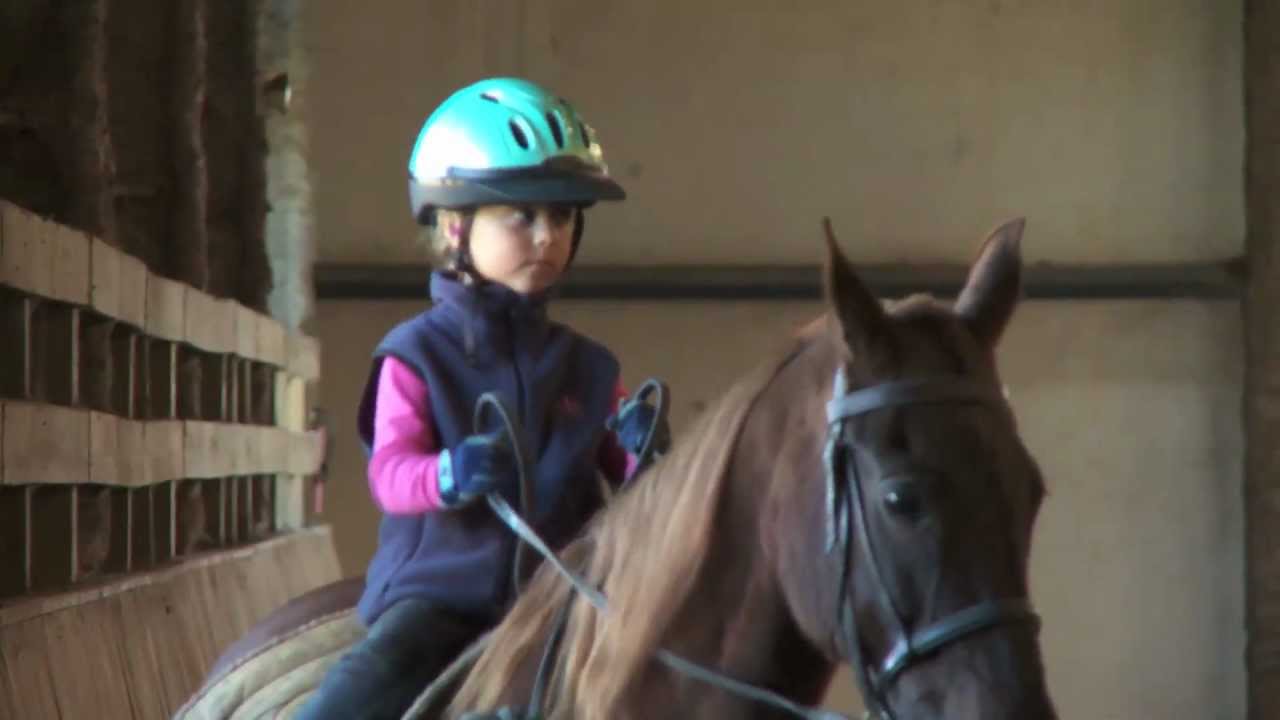 Cash Lovell Stables Fall Festival 2011 - Winston-Salem Horse Riding lessons