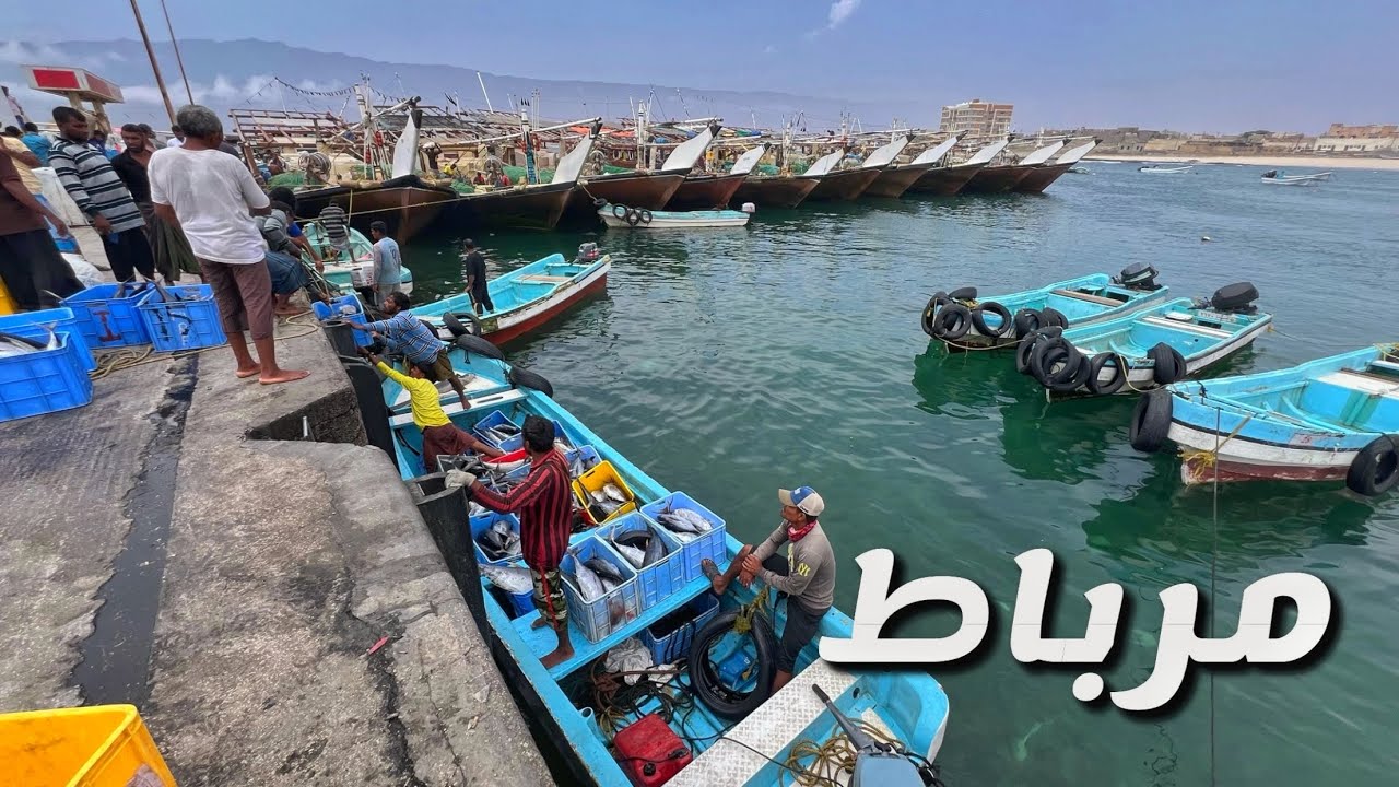 ( 222 ) ‏ ‏جبجات والعودة من صلالة وحقيقة موقع انعدام الجاذبية 9/2024 الجزء 16