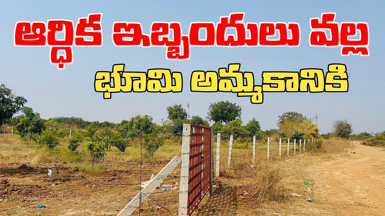 💰Low Budget Land Deal | 6 Acres 60 Lakhs | Durgi Road ⚡ఇంత చీప్ రేట్ లో 6 ఎకరాలు దొరకవు Clear Title
