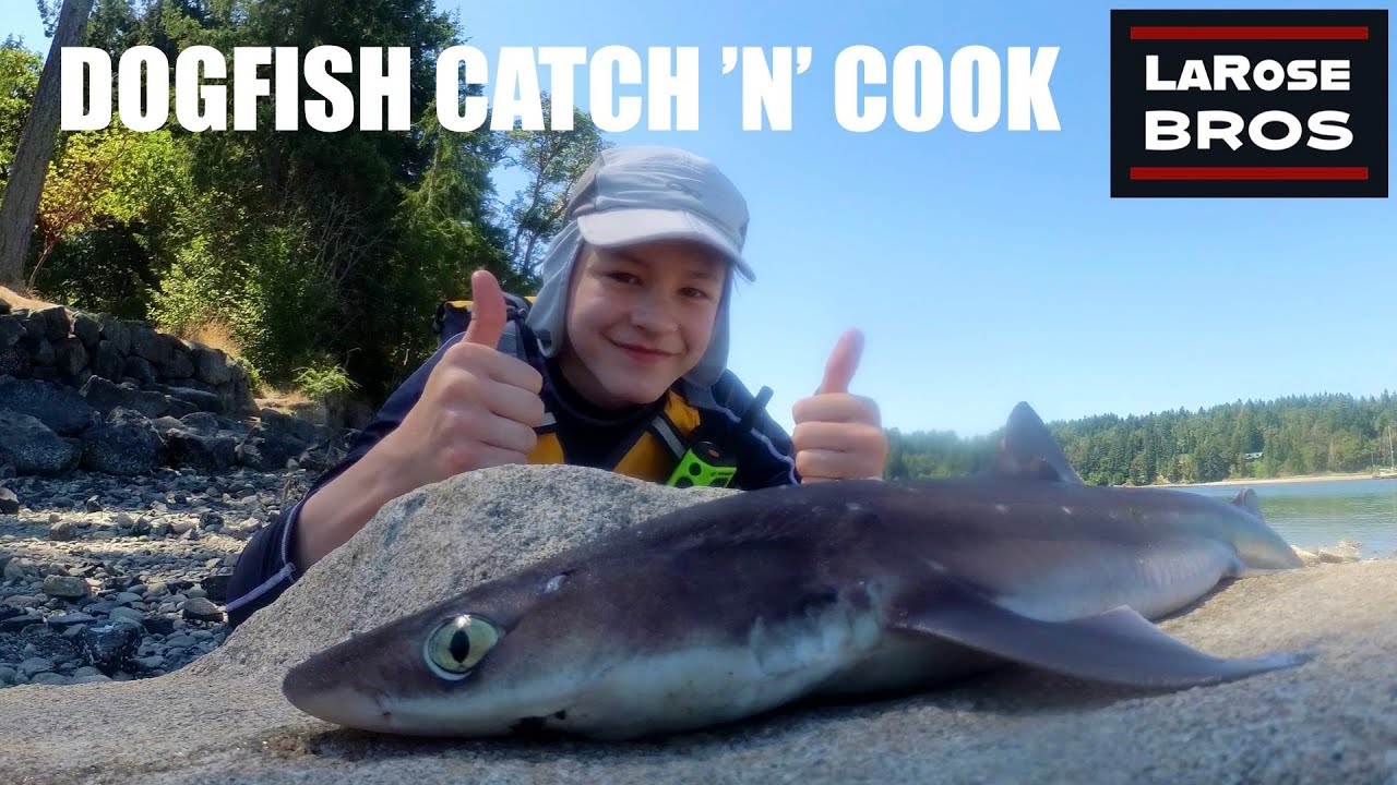 VENOMOUS SHARK Kayak Catch and Cook at Penrose Point - LaRoseBros