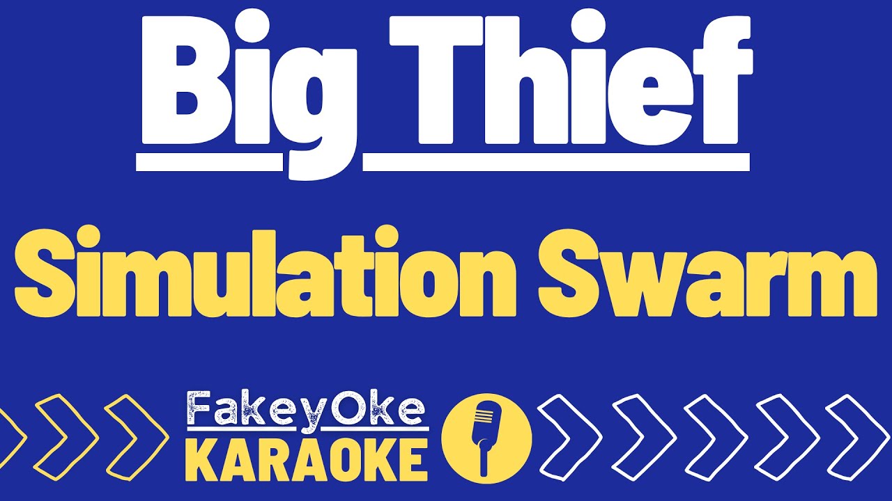 Big Thief - Simulation Swarm [Karaoke]