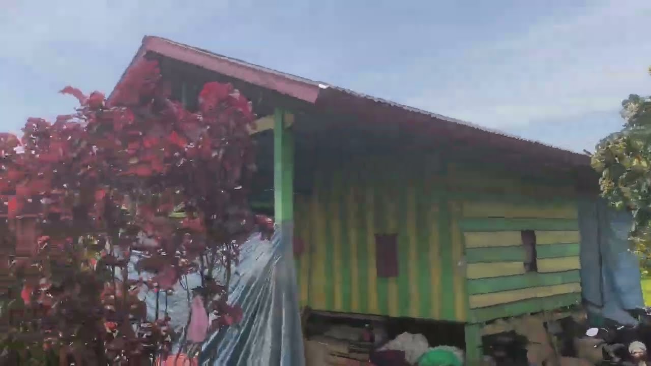 Rumah Kebun Durian II Part 11