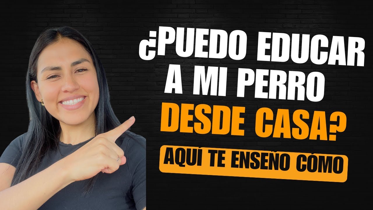 ¿Puedo educar a mi perro desde casa?