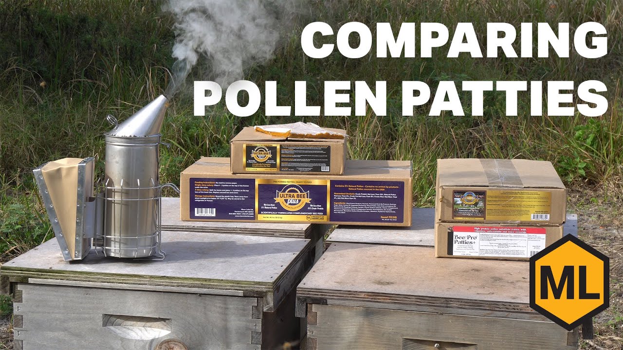 Pollen Patties Compared &ndash; Best Bee Feed Options