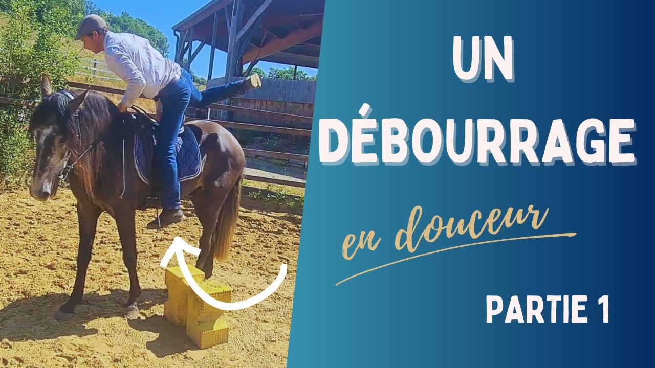 ⭐ Le d&eacute;bourrage du cheval partie 1⭐
