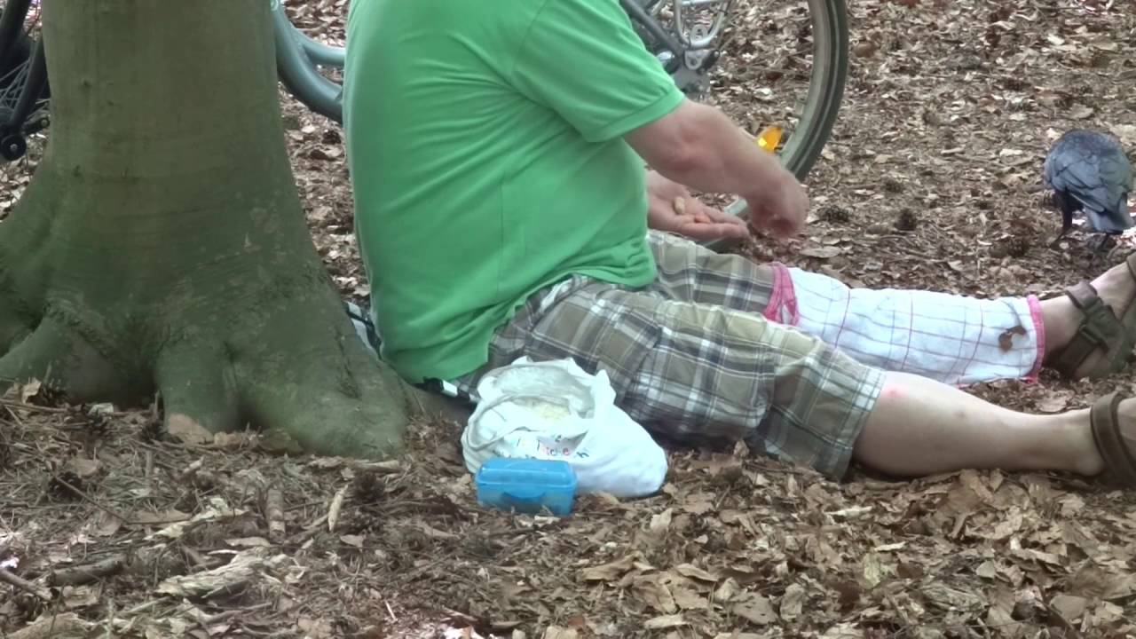 Mein Freund - die Rabenkrähe