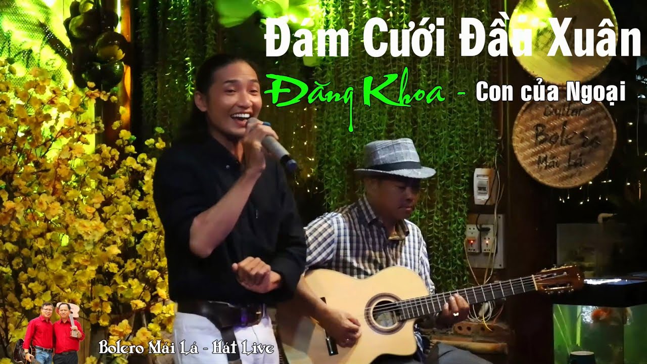 Đám Cưới Đầu Xuân | Đăng Khoa con của Ngoại huỳnh Triều | Bolero Mái Lá - Hát Live