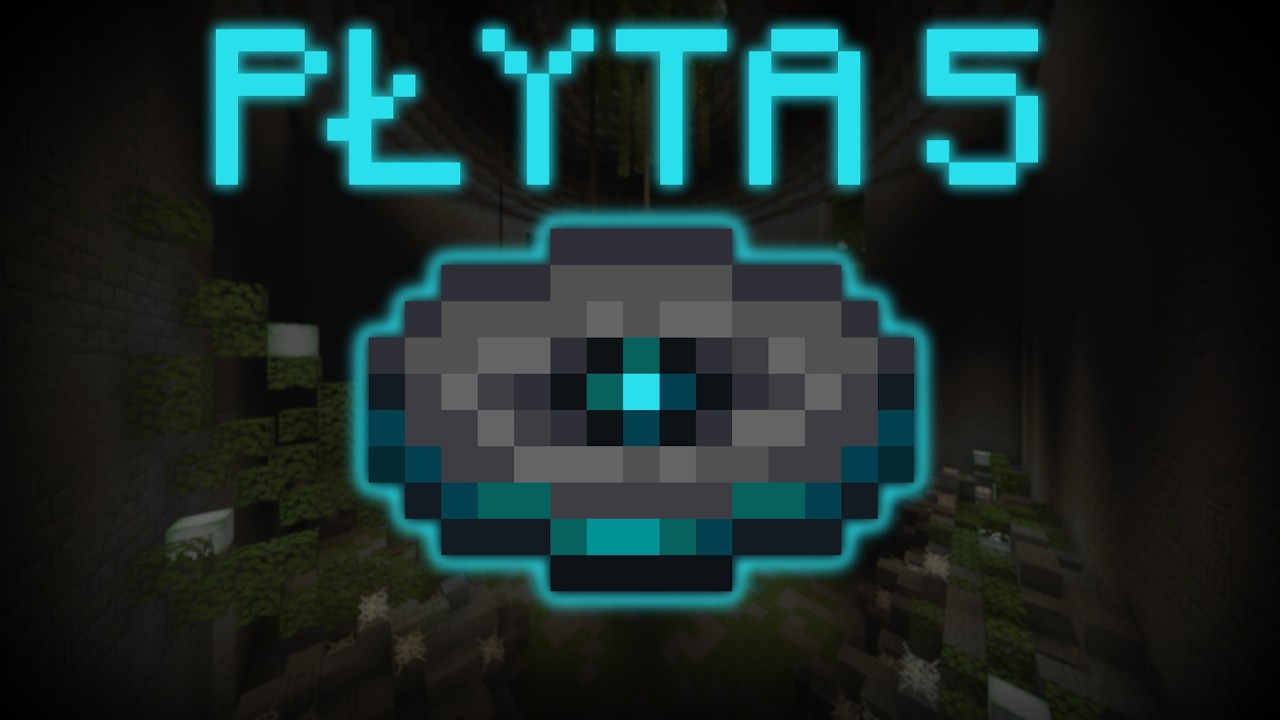 Płyta 5