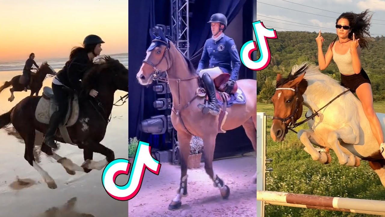 The Best HORSE TikTok Compilation #133