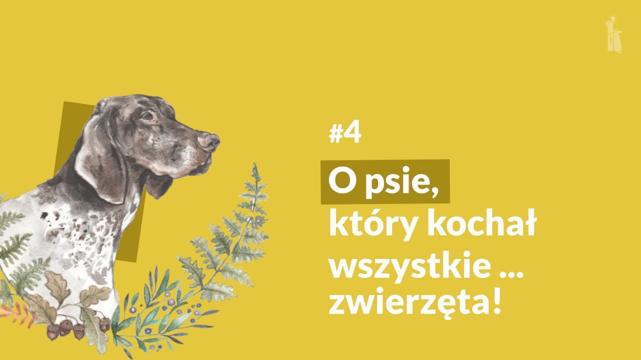 O psie, który kochał wszystkie zwierzęta