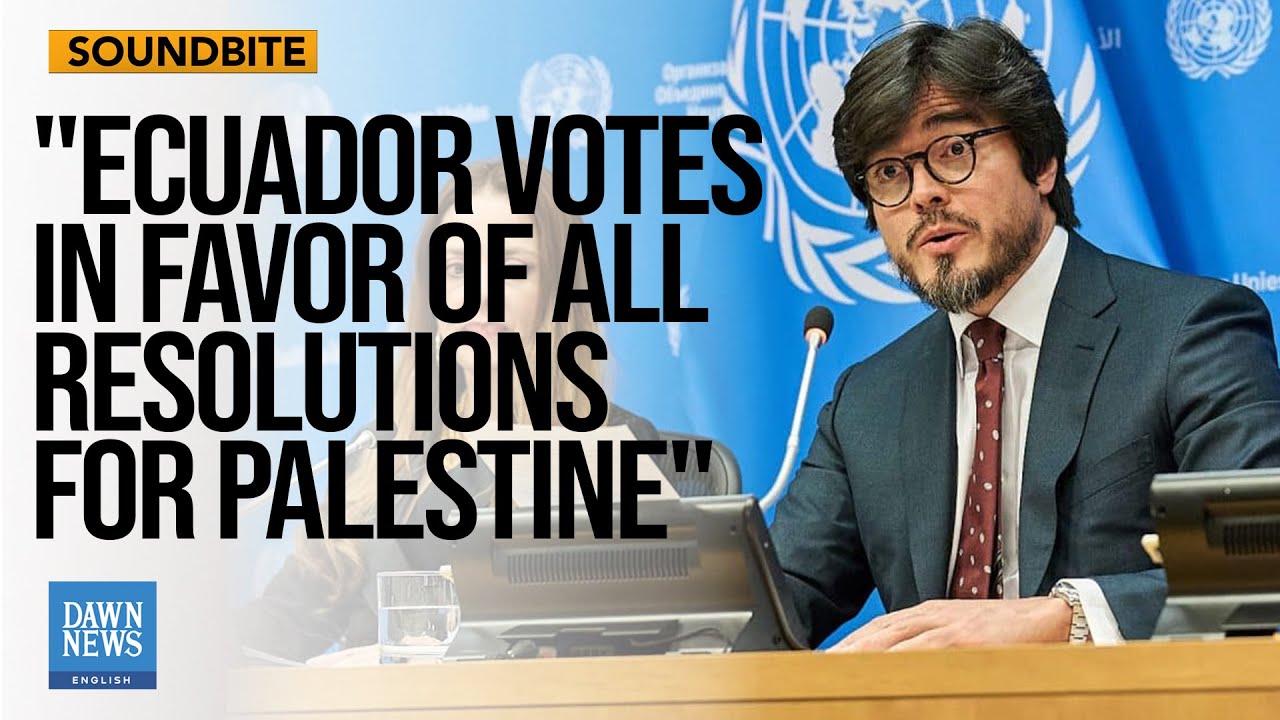 Ecuador says it voted in favor of all resolutions for Palestine | Dawn News English