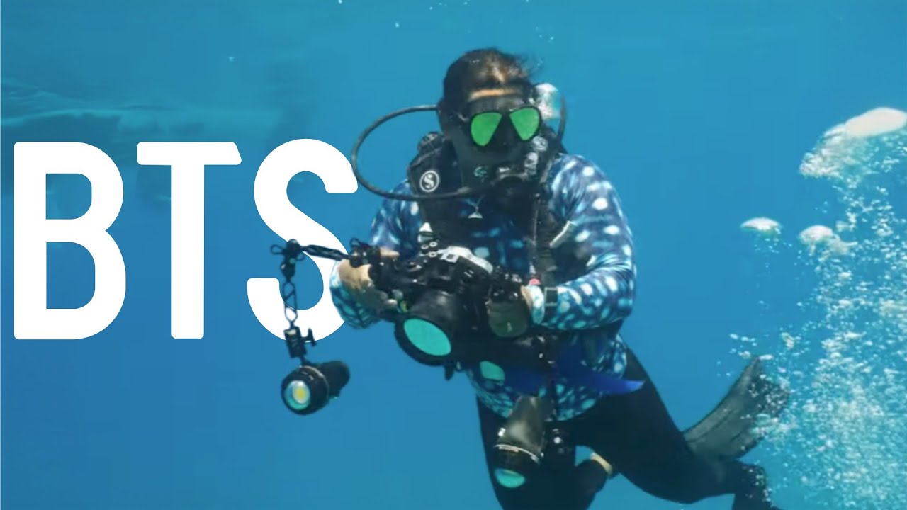 How we Filmed a Coral Reef Restoration