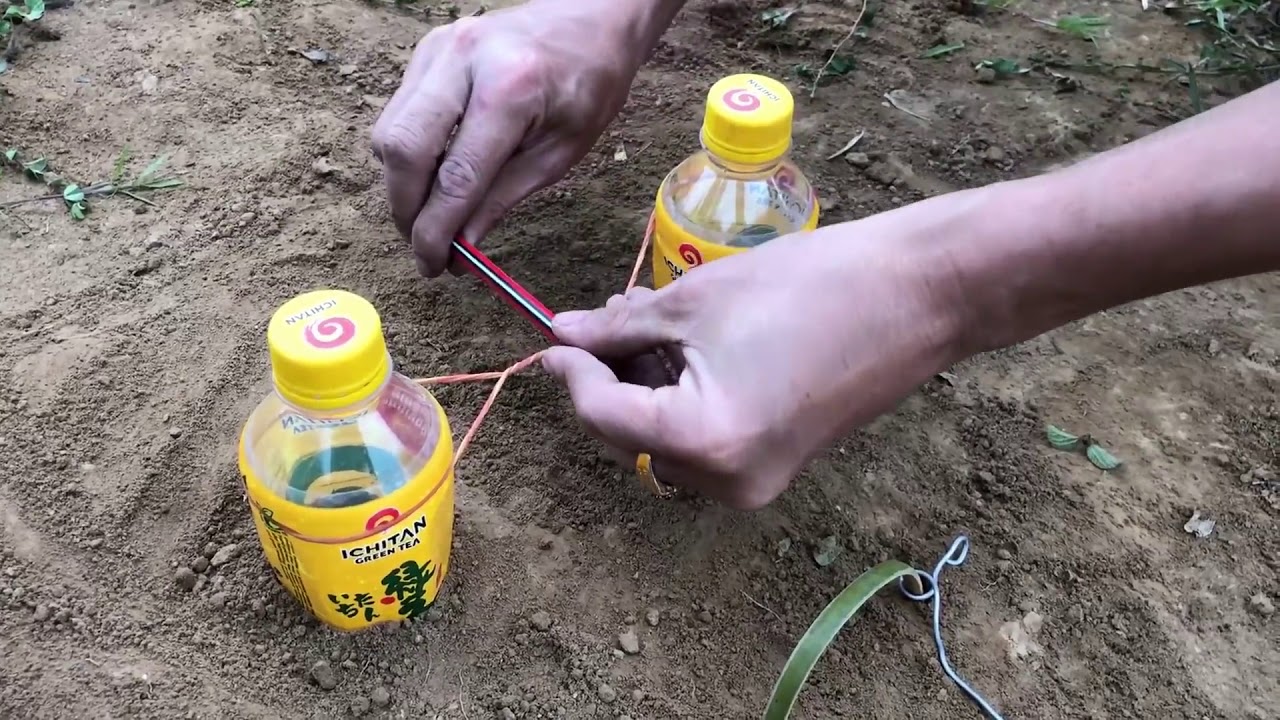 2本のボトルとペンから簡単な鳥トラップを作る