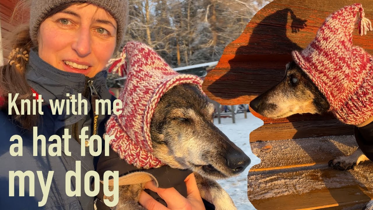 Вяжем вместе: шапка для моей собаки! 🐕 ❄️ Уютный зимний видеоблог ❄️ (бесплатная выкройка)