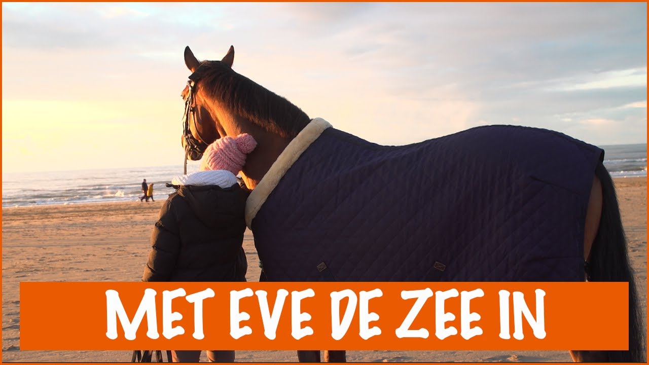 NIEUWJAARS STRANDWANDELING MET EVE | PaardenpraatTV