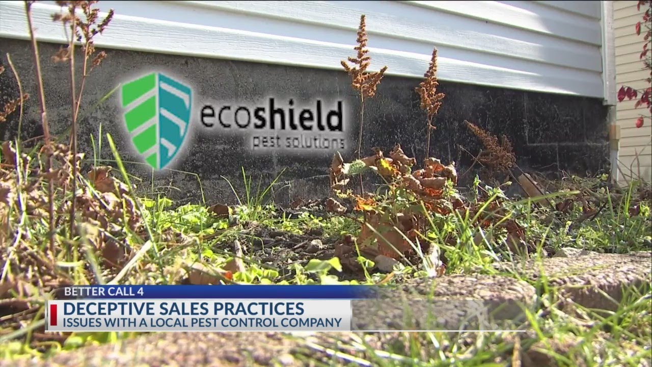 Man says pest treatment deal was too good to be true