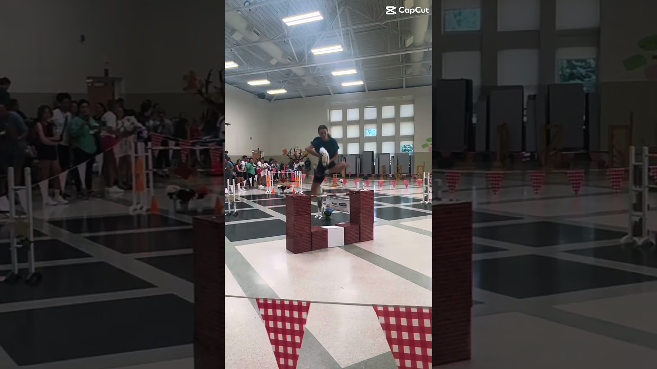 I absolutely LOVE this jump from USHHC (old vid)