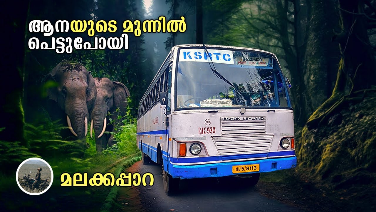 Malakkappara | ആനയുടെ മുന്നിൽ പെട്ടുപോയി | Chalakkudy to Malakkappara  Ksrtc bus trip | free20