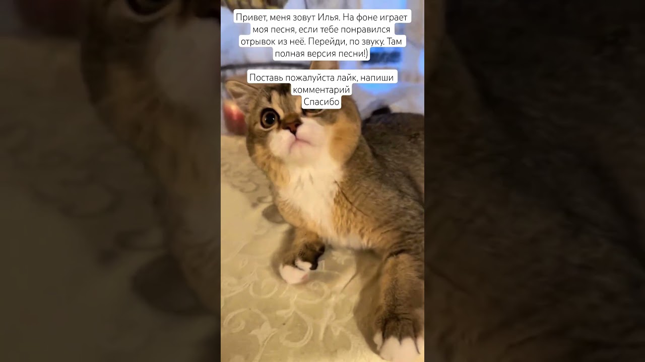 Nalimii Music: ДнД