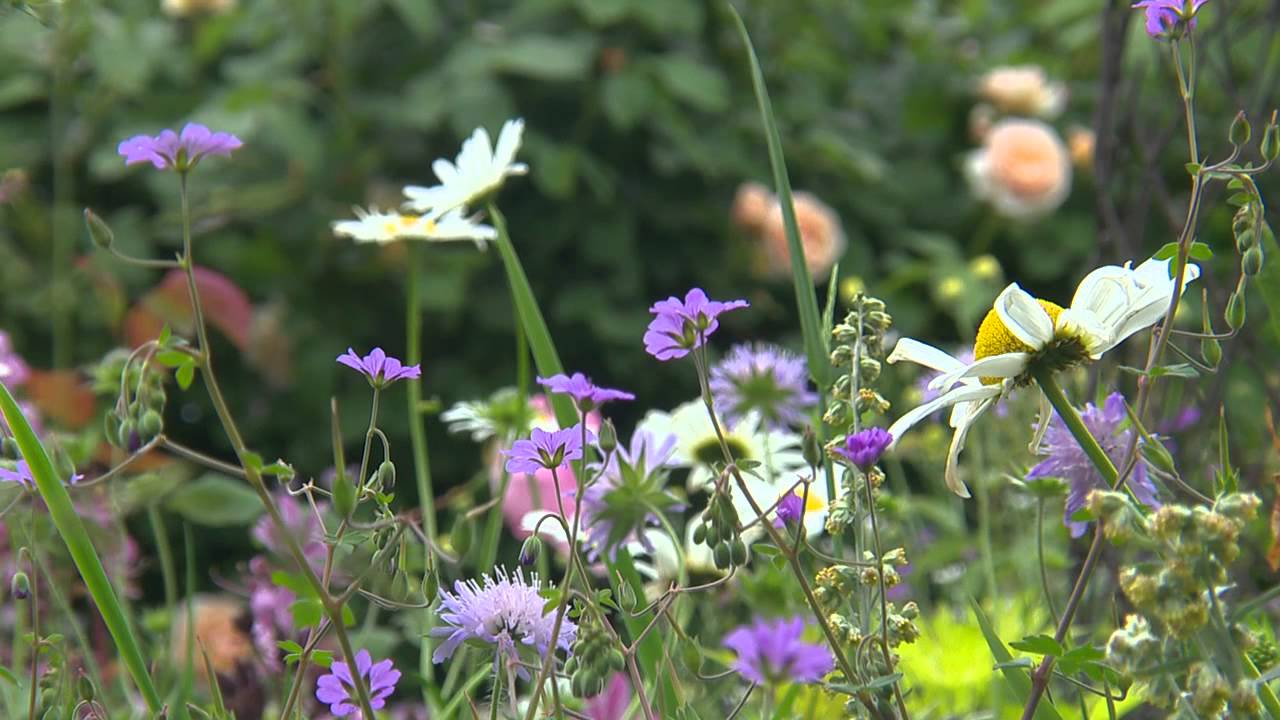 Une jardinière en Belgique : Isabelle