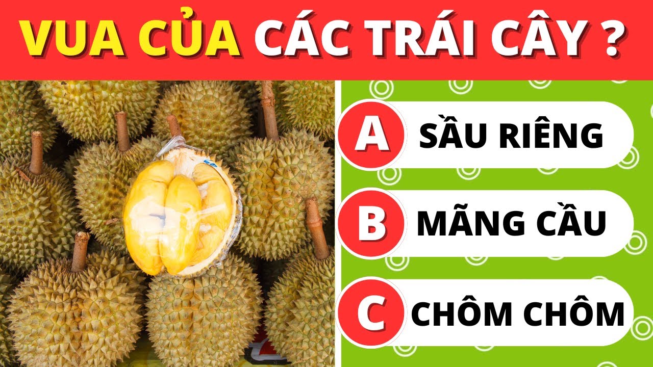 Câu Đố Về Kiến Thức Trái Cây Thú Vị | Thử Thách Sự Hiểu Biết Về Trái Cây