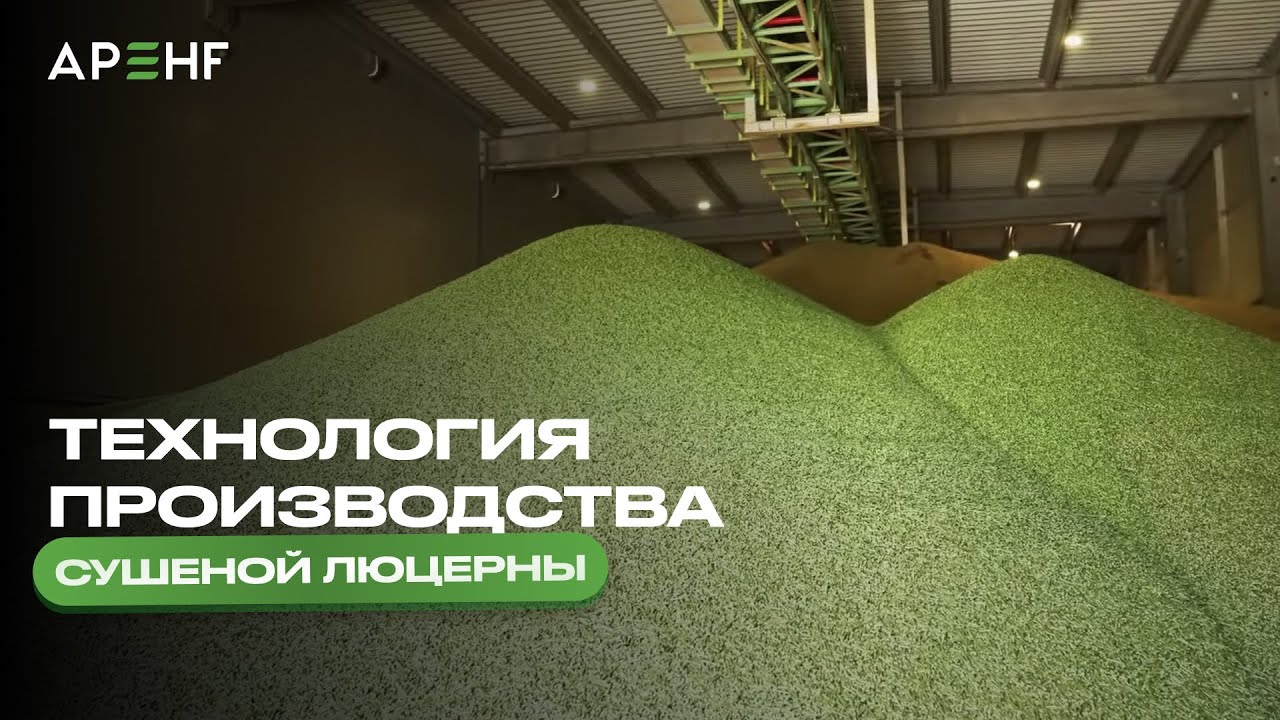 Технология производства сушеной люцерны