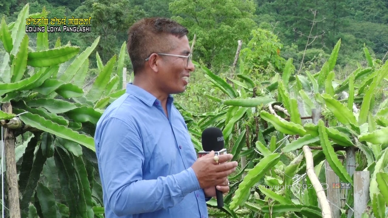 Loijing Loiya Panglashi Dragon Fruits by Wahengbam Arunkumar Singh