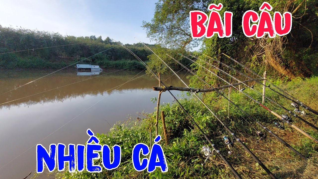 Câu Cá Sông Bé Ngày Nước Rút Cá Ăn Dựt Không Kịp Là Có Thật