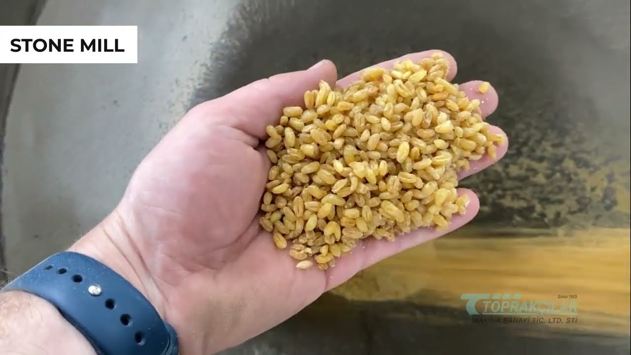 Revolutionizing Bulgur Production: Toprakçılar Makina's Bulgur Line