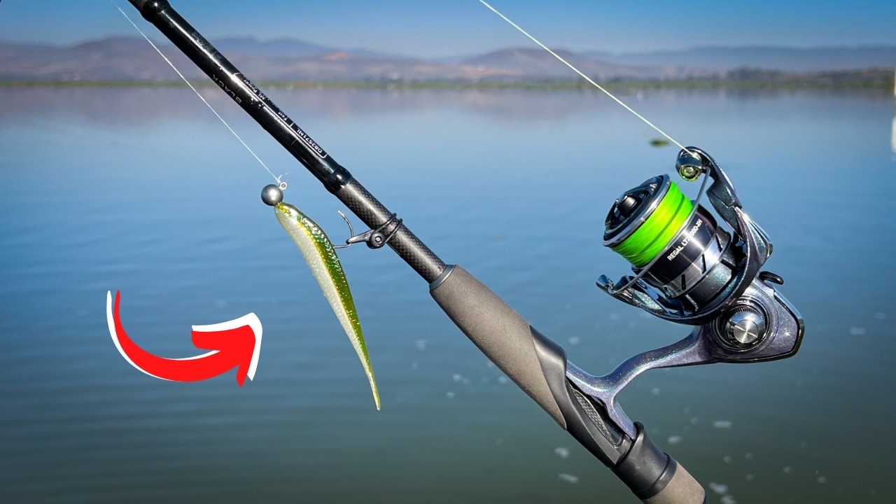 NO HAY PEZ QUE SE RESISTA a este señuelo!! (Damiki rig/ strolling)