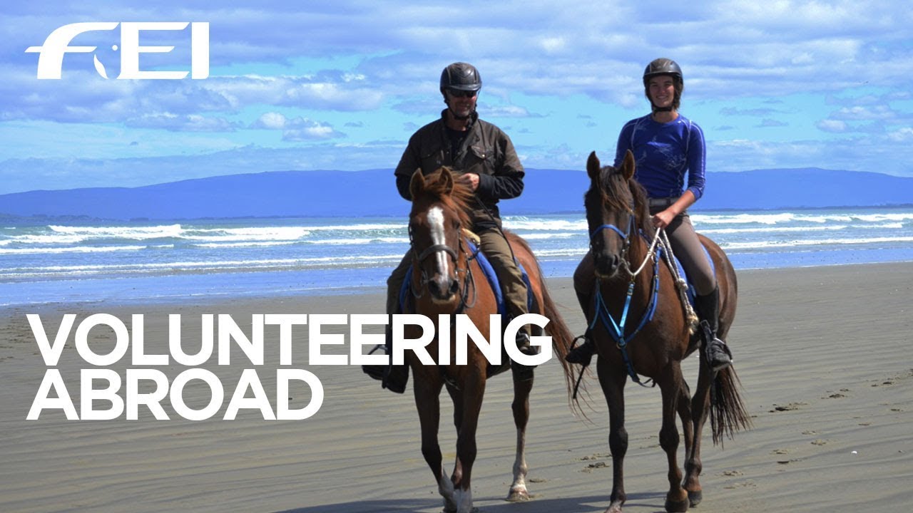 Volunteering Abroad with Arabian Horses