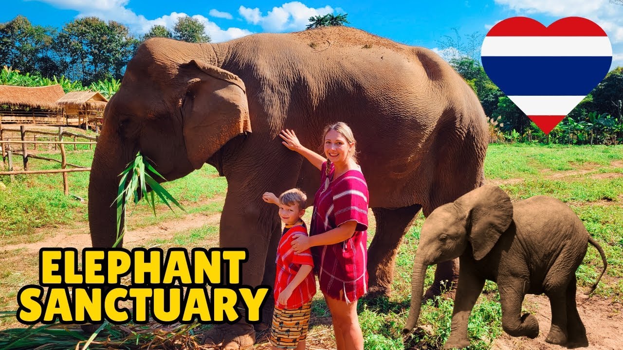 Заповедник слонов 🐘 и водопады «Липкий» в Чиангмае! 😍 Наш лучший день в Таиланде 🇹🇭