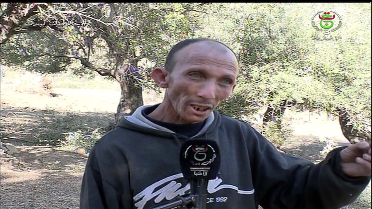 جيجل /  طريقة طهي و حفظ الزيتون تقليد متوارث عبر أجيال