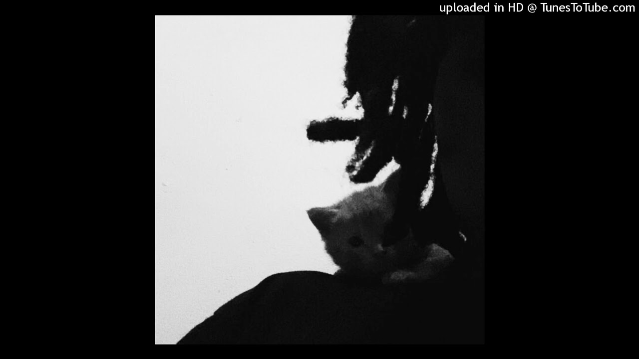 natecxo + alo + texo type beat ✧ 