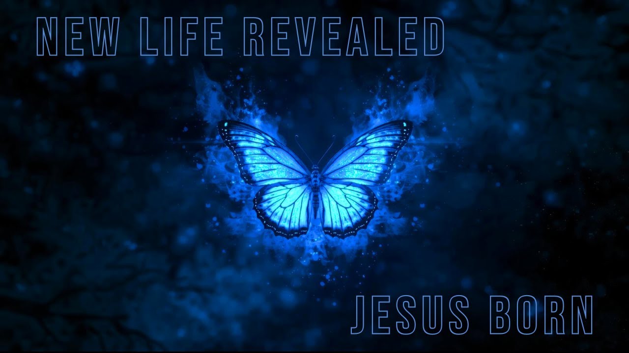 New Life Revealed: Jesus Born | Message by Pastor Julie Marxhausen | New Life Church