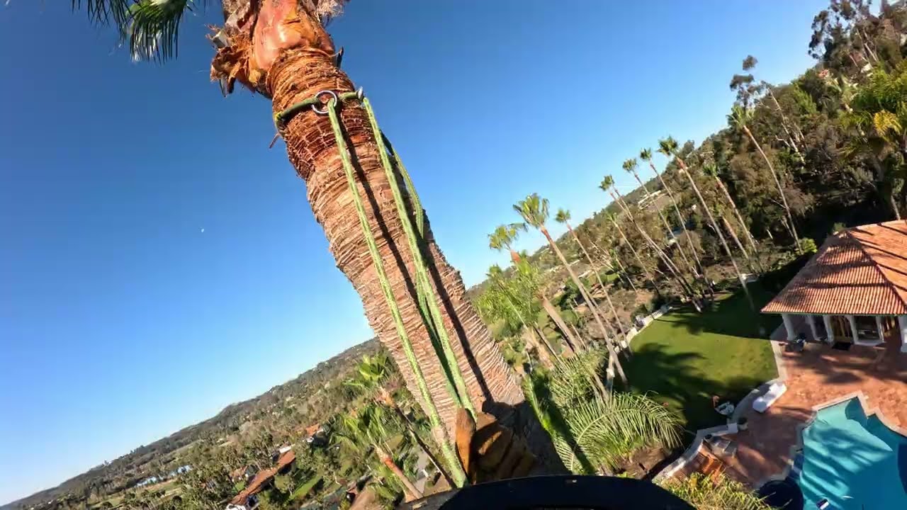Poda De Palmeras Peligrosas / Rancho Santa Fe