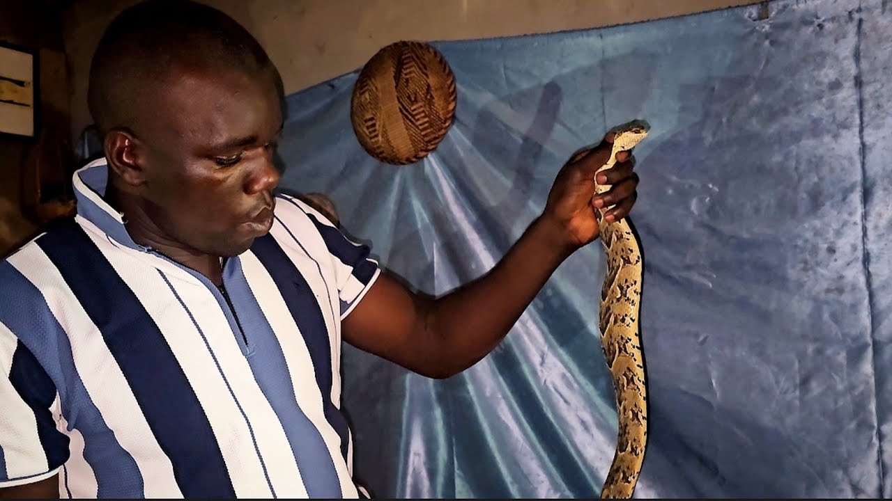 Nyoka iyo yapedza vanhu nekudya yabatwa naMambo Mutize yaita zvinoshamisa vanhu vakatarisa musarombe