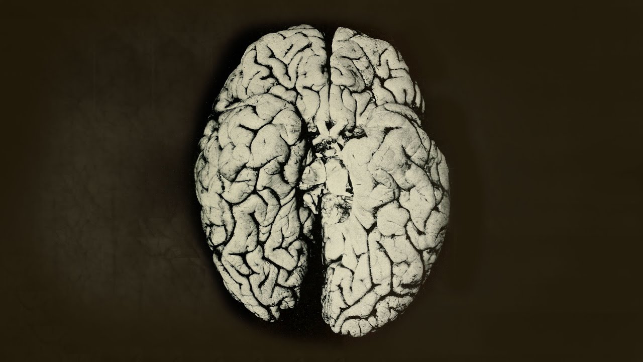 Una Científica Derramó 2 Gotas De Mercurio Orgánico En Su Mano. Esto Es Lo Que Le Pasó A Su Cerebro.