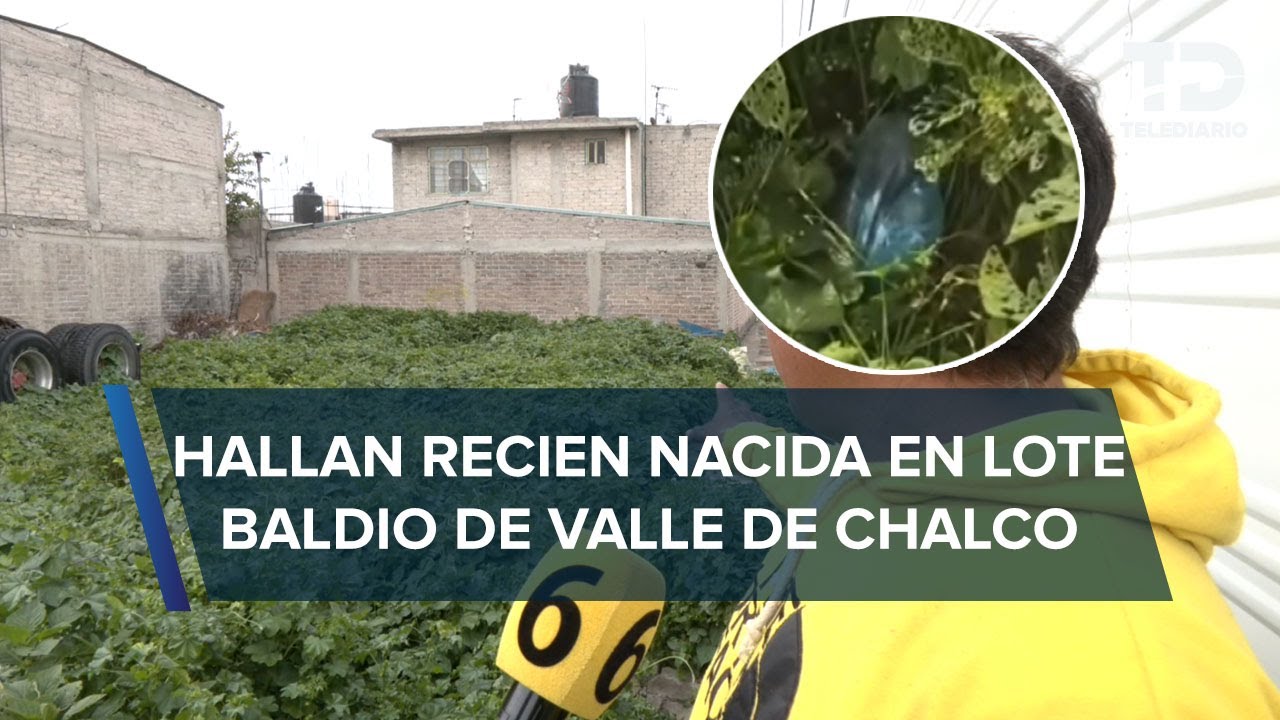 Recién nacida es abandonada dentro de una bolsa en un baldío de Valle de Chalco