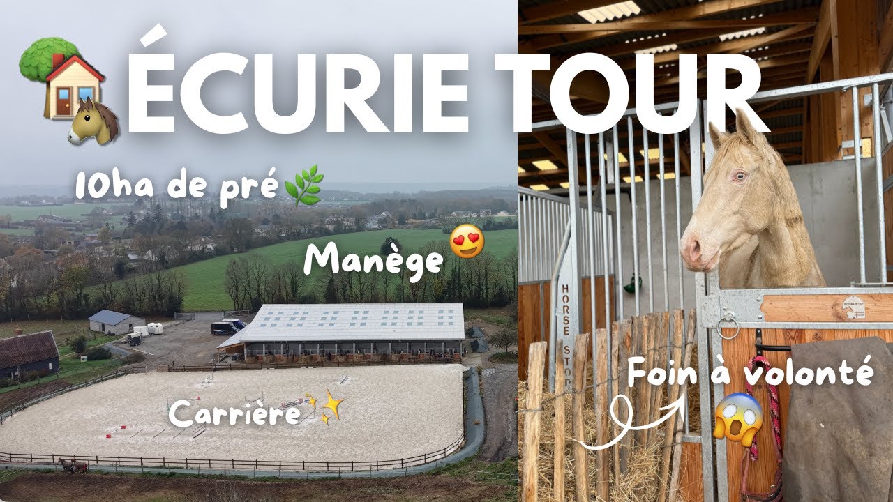 PRESENTATION DE MES NOUVELLES ECURIES ! 🏡🐴😍