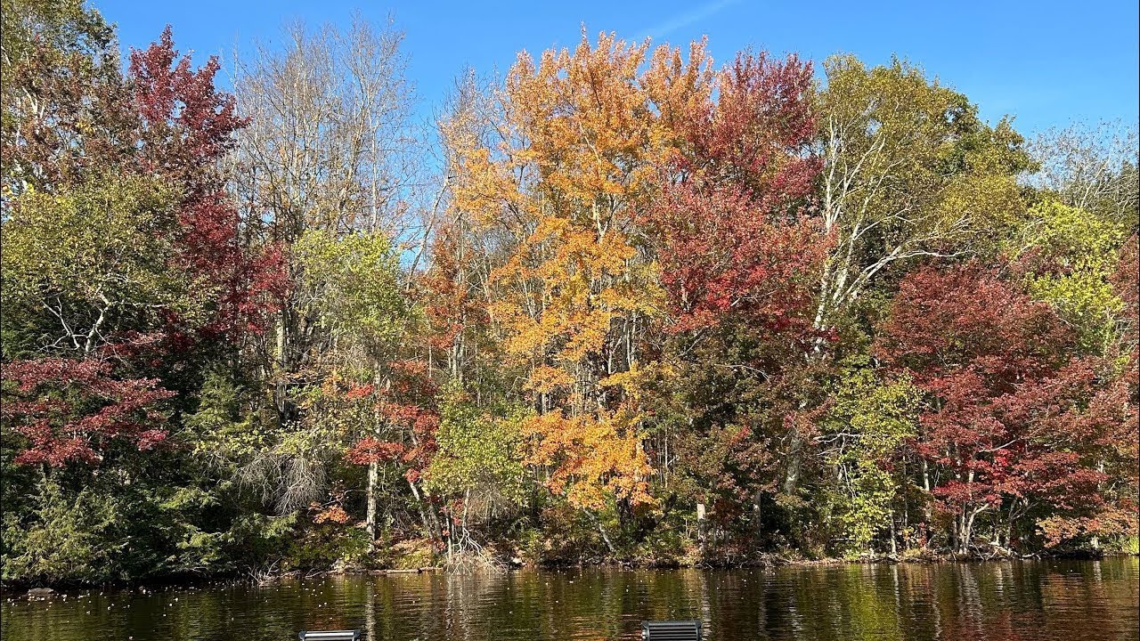 Checking out the fall foliage boat ride. Otis reservoir￼.  October 4, 2025￼