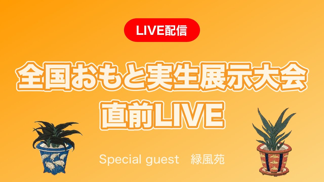 【実生全国大会前日】実生について２軒の業者がお話しします！