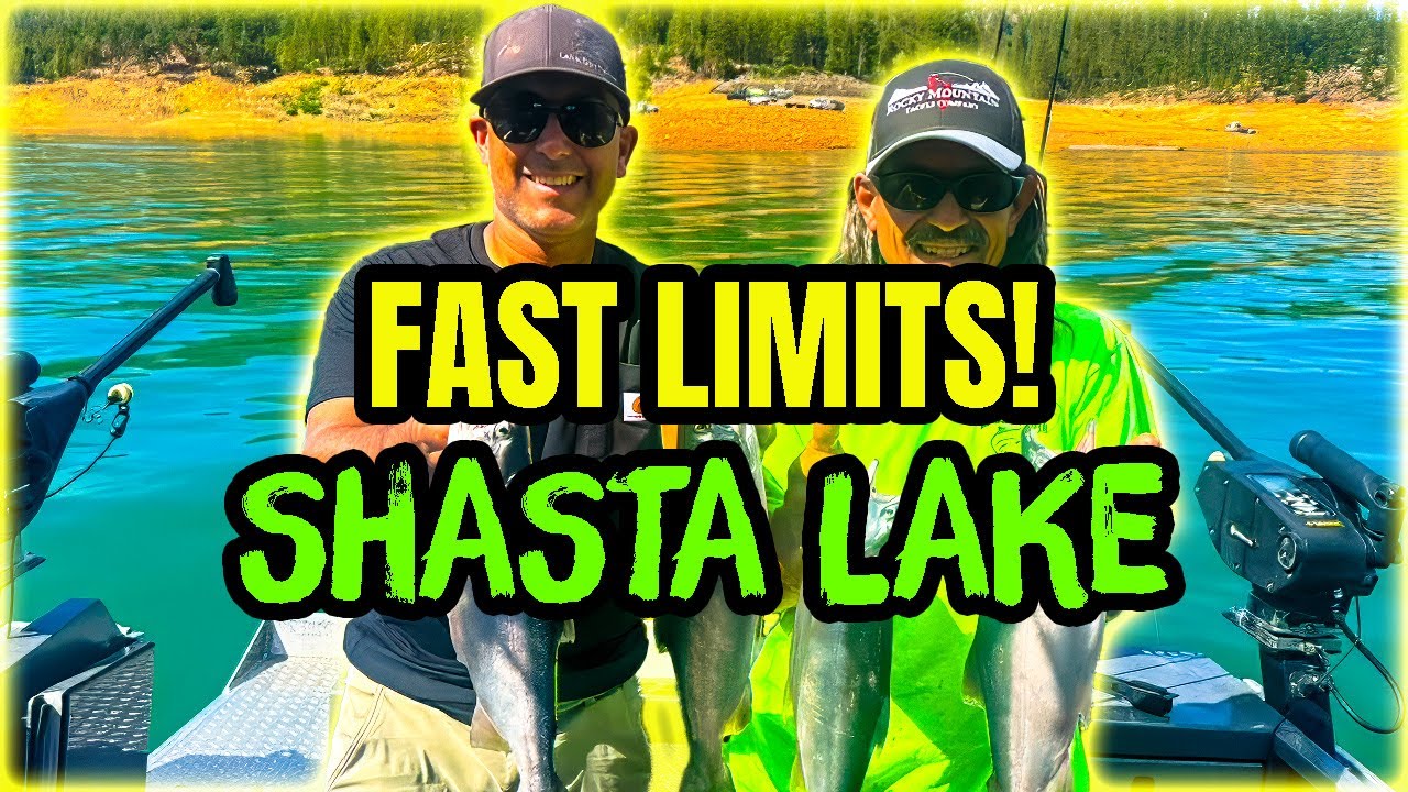 Shasta Lake Kokanee Limits…Fishing for Epic Salmon and Trout!