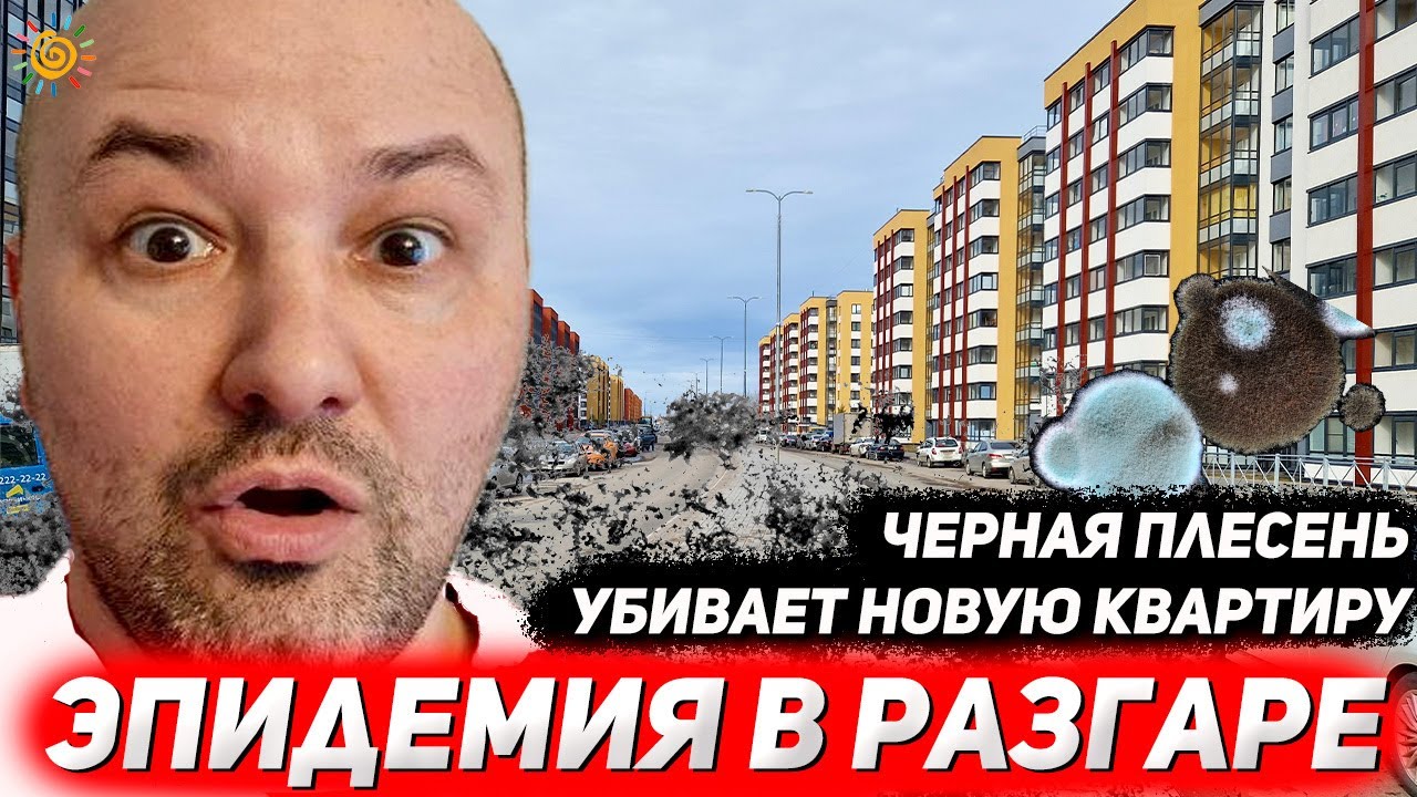Черная плесень убивает Новую квартиру Сетл Сити в Новостройке Солнечный город Эпидемия в разгаре