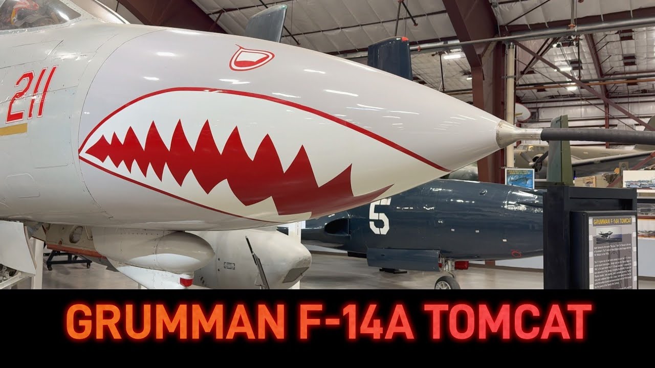 Экскурсия по очень редкому самолёту Grumman F-14A Tomcat