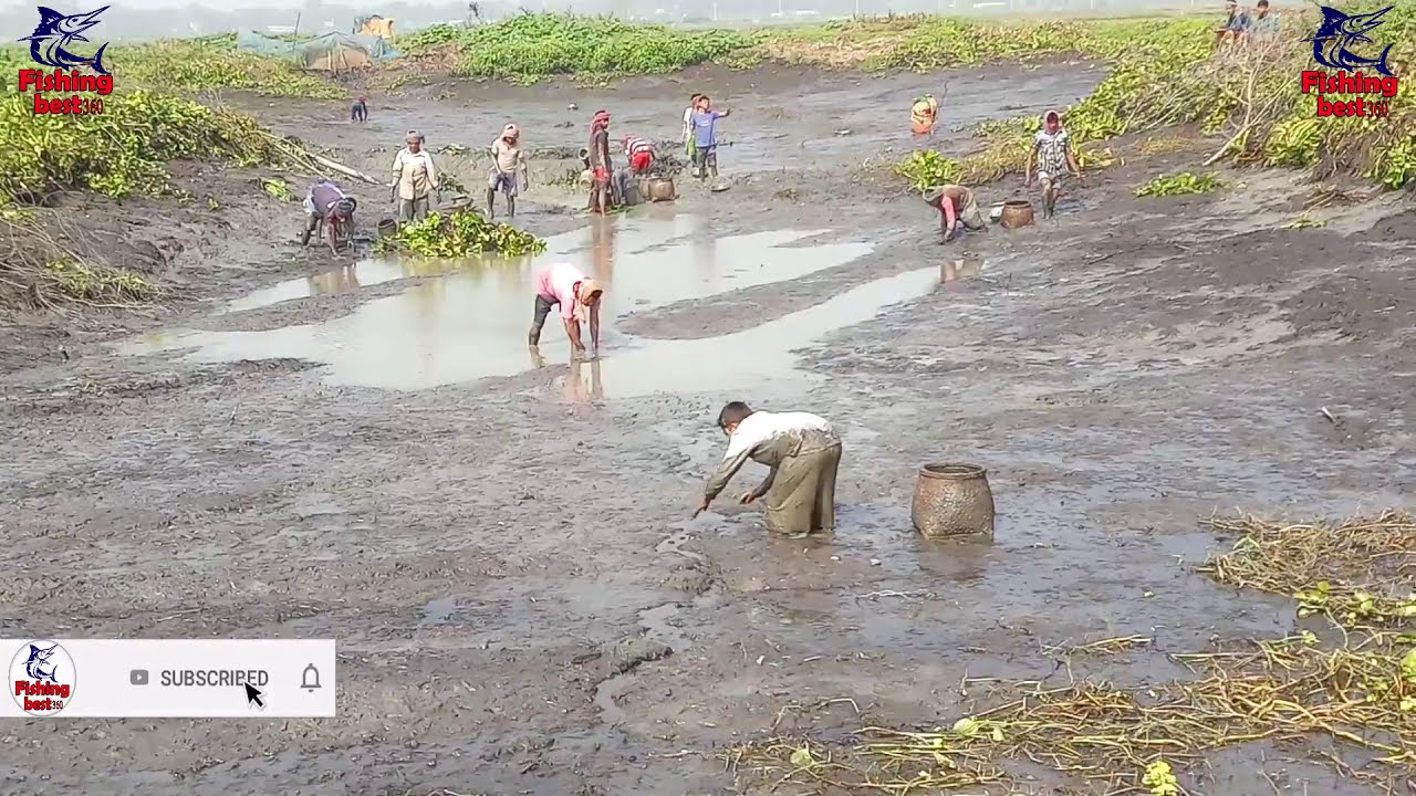Best Fishing videos,sea,Deep,hole egg fishing,mach,fishing,2020 fish,Trap,mud Water Muddy Soil P 147