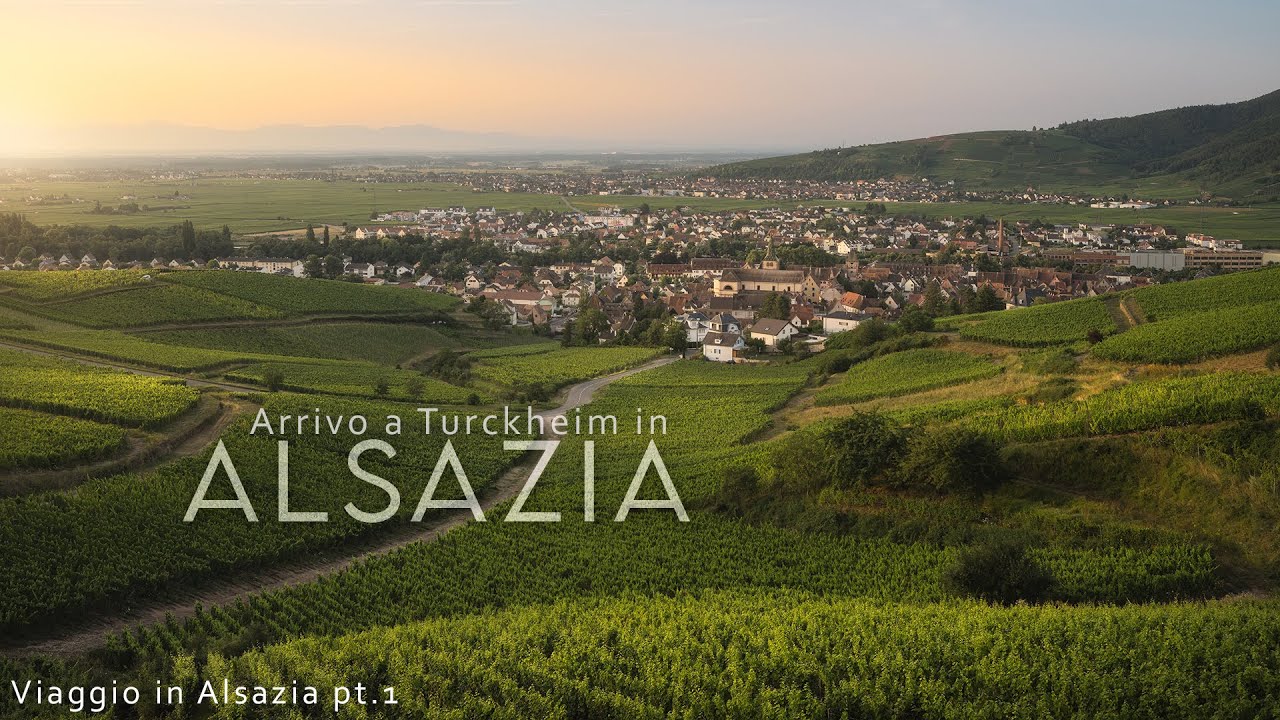 Arrivo in ALSAZIA! Alba sul borgo e i vigneti di Turckheim con colori delicati e...una sorpresa!