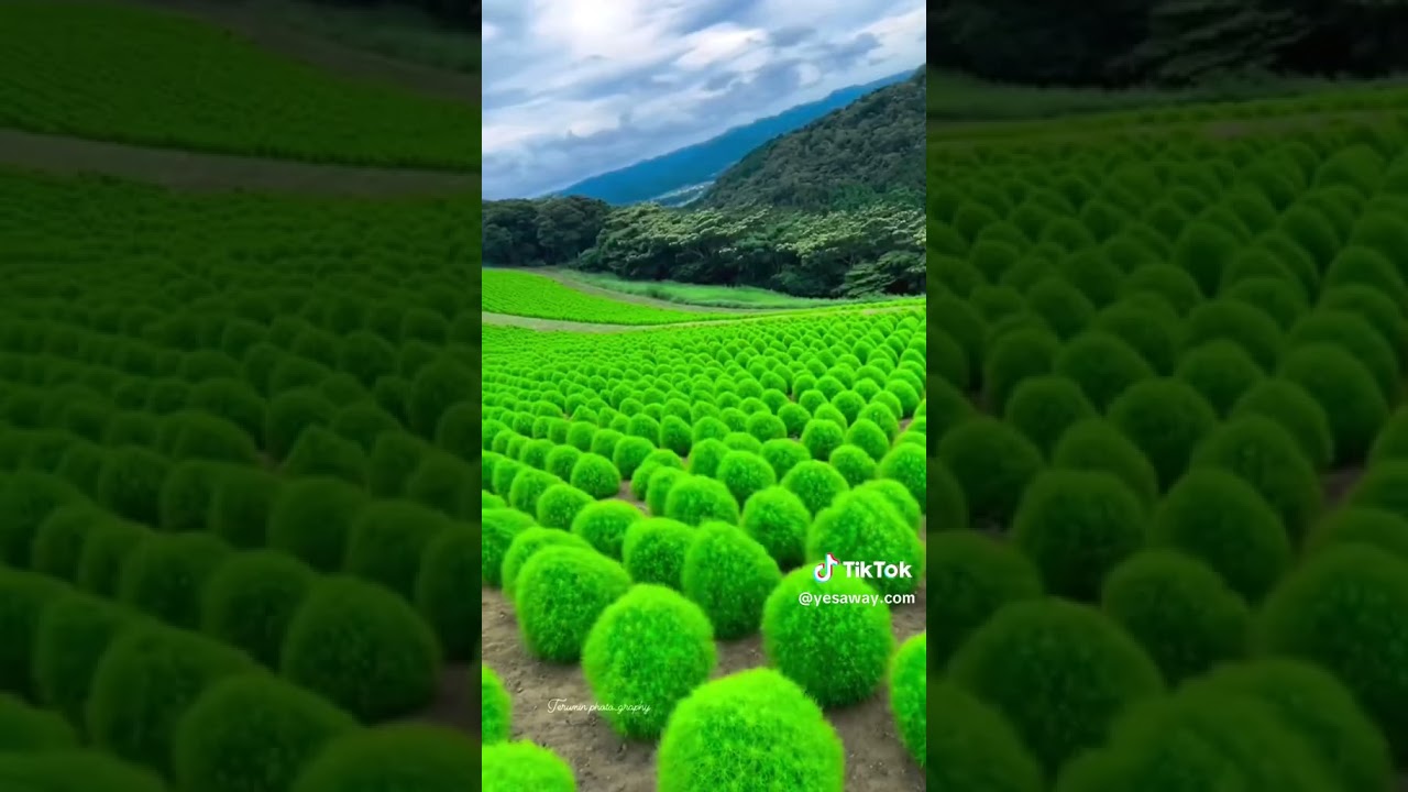 most weird places on earth #shorts #viral #funny #viral #earth #nature #stayercreatives