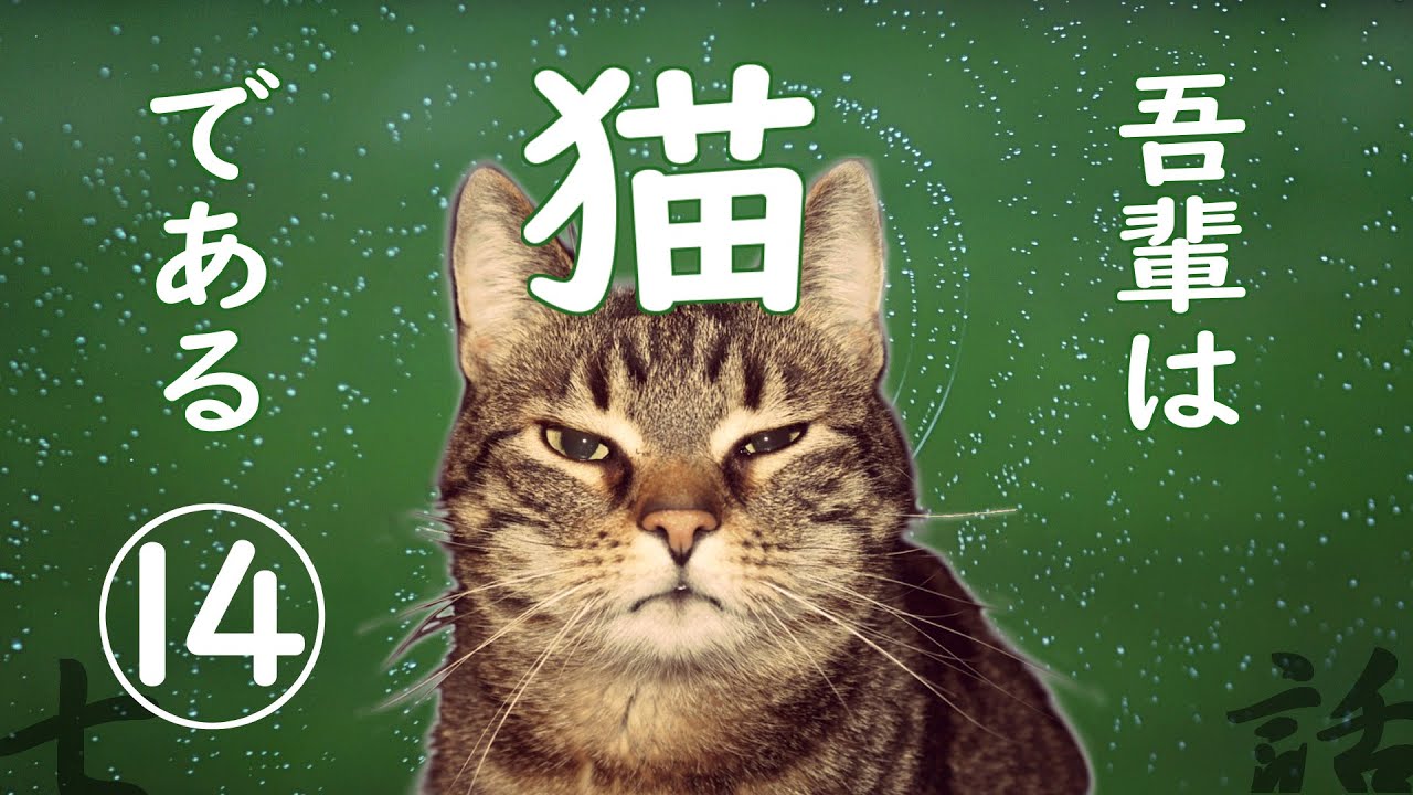 【朗読】吾輩は猫である(14)／夏目漱石
