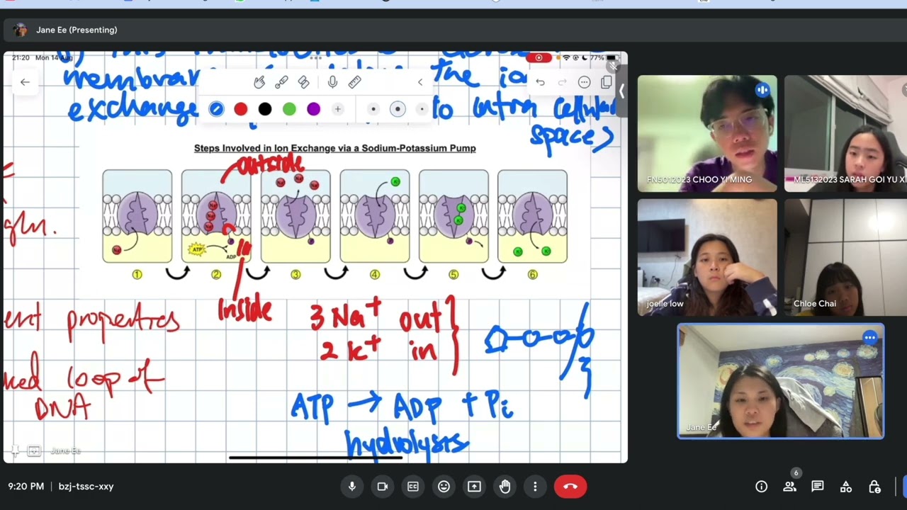 IB Biology Crash Course - More about the Sodium Potassium Pump and how Carrier Proteins work